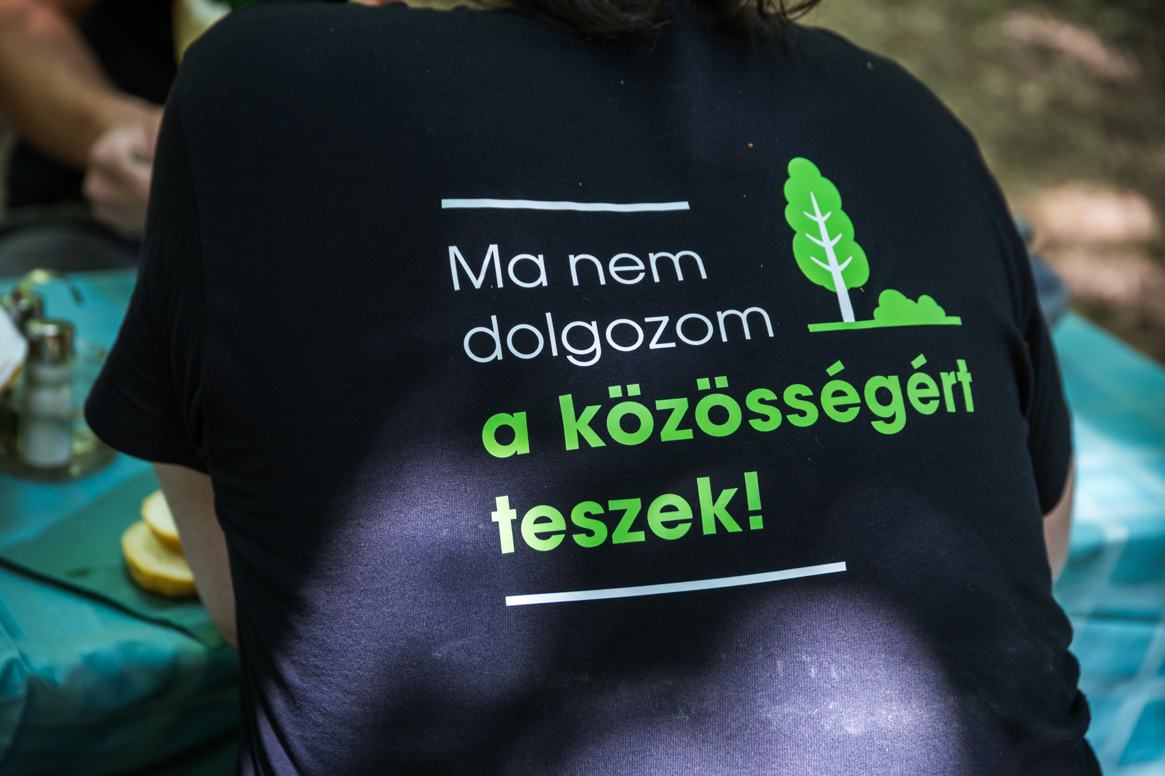 FundamenTalálkozások – önkéntes nappal tértünk vissza Katalinpusztára